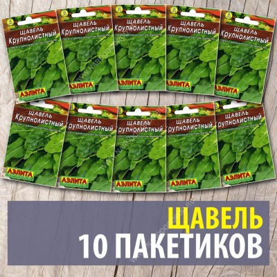 Семена Щавель для посадки многолетний Крупнолистный, 10 пакетиков по 0,5г/400шт