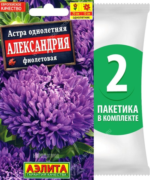 Семена Астра махровая Александрия Фиолетовая, 2 пакетика по 0,1г